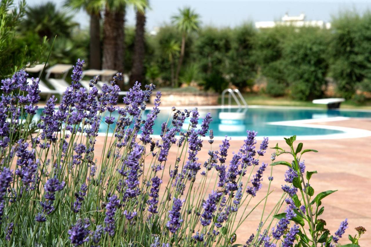 מרטינה פרנקה Villa Martino מראה חיצוני תמונה